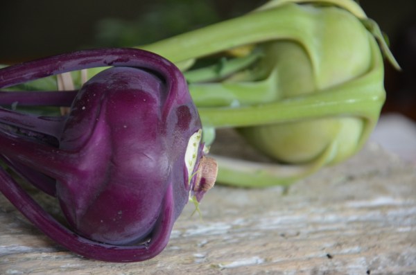Kohlrabi from Siena Farms in Sudbury, MA