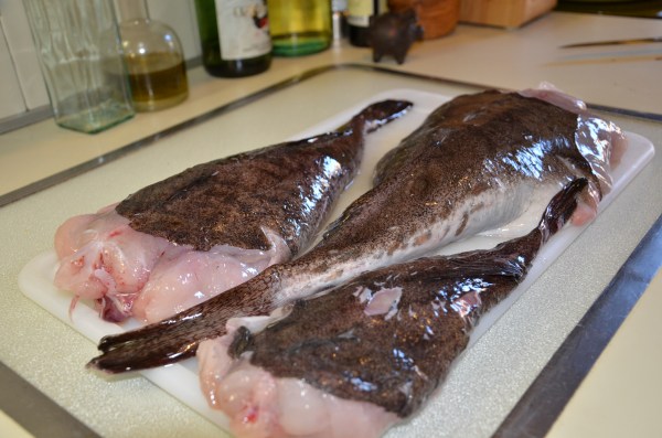 Monkfish from Cape Ann Fresh Catch