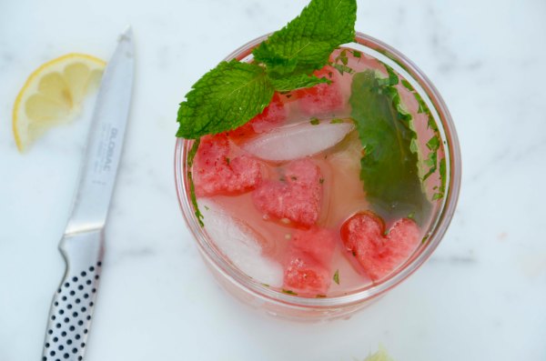 Watermelon Mojito Overhead
